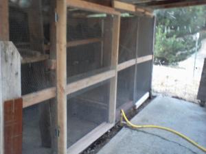 The coop with the new wall I added.