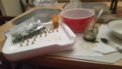 Making my cannabis capsules